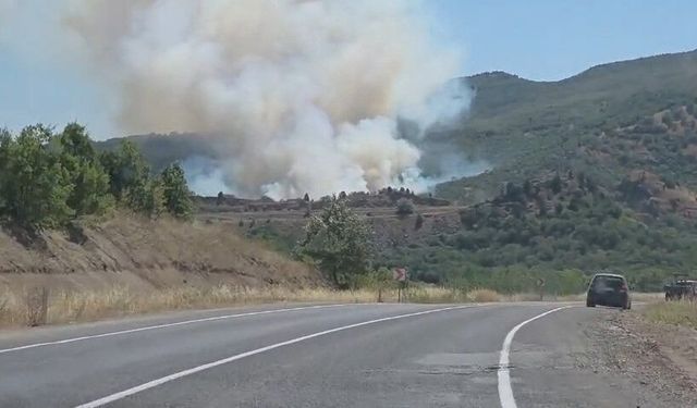 Kütahya’da tarla yangını ormana sıçradı: Ekipler seferber oldu