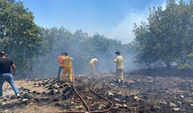 Eskişehir'deki orman yangınının üzerinden 1 yıl geçti: 10 kahraman unutulmadı!