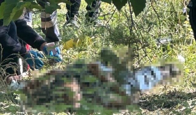 Eskişehir'de ağaçlık alanda korkunç olay: Cansız bedenini gören telefona sarıldı