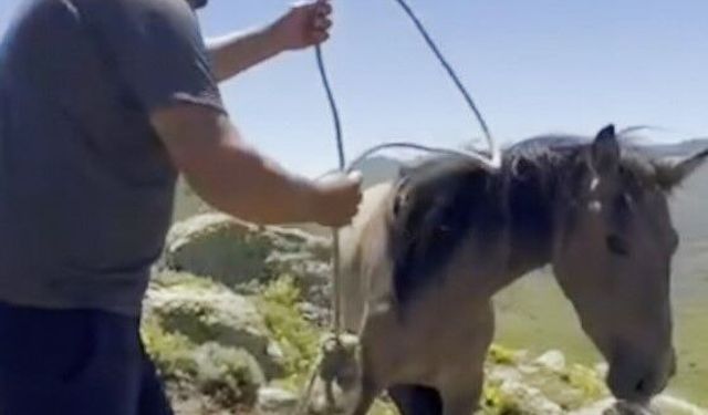 Afyon'da skandal iddia: Kaçak avcıların tuzakları boşa çıkarıldı!