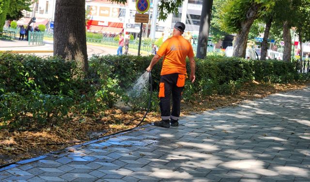 Yeşil alanlarda bakım seferberliği sürüyor