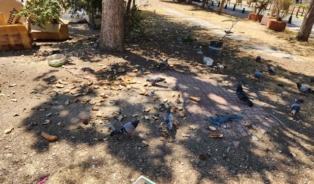 Eskişehir'de kuşlara yardım ederken çevre kirliliği oluştu!