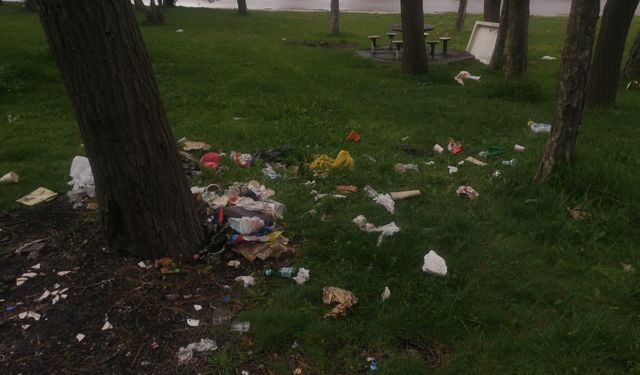 Eskişehir'de mesire alanlarında değişmeyen manzara!