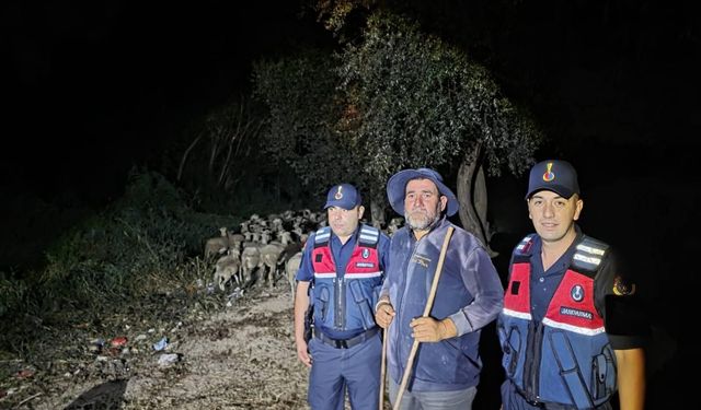Bilecik'te sevindiren haber! Kayıp çoban sürüyle birlikte bulundu