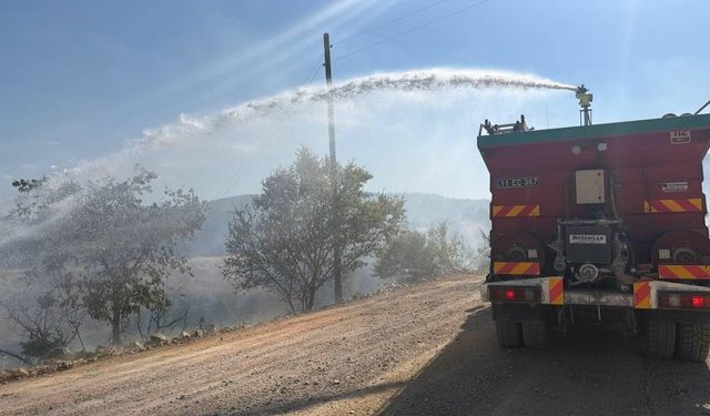 Bilecik'te elektrik direği devrildi, 7 dönüm alan yandı!