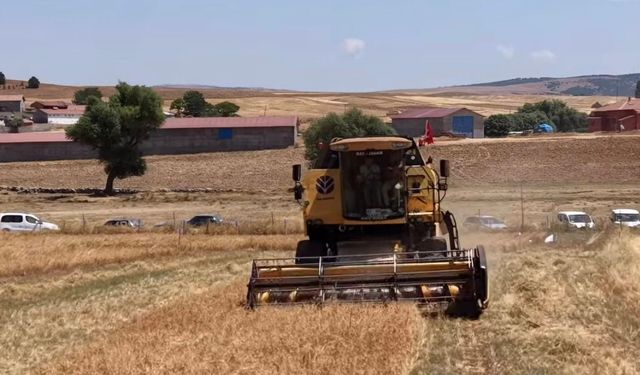 Kütahya’da 18 farklı nohut çeşidi aynı alanda yetiştirildi