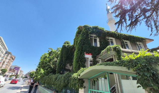 Eskişehir'in göbeğinde gören bir daha bakıyor!