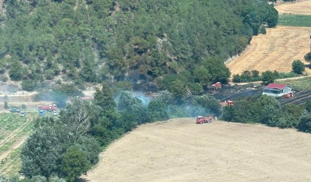 Bilecik'te kaldırıma park etti, tepki gecikmedi!
