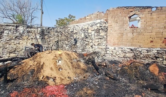 Eskişehir’de müstakil ev alevlere teslim oldu: Kullanılamaz hale geldi