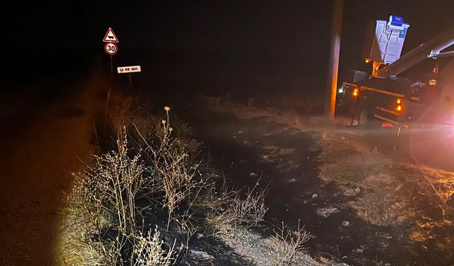 Eskişehir’de elektrik tellerine kuş çarptı, yangın çıktı!