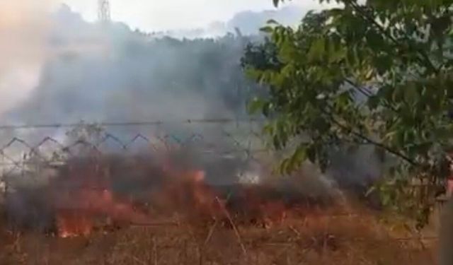 Eskişehir’de otluk alanda çıkan yangın meyve bahçesine sıçradı