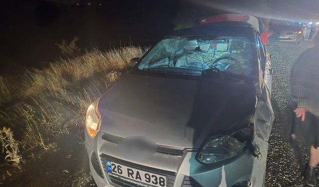 Bilecik’te yola çıkan geyik kazaya neden oldu