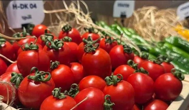 Eskişehir’de domates tarladan markete gelene kadar kaç lira artıyor? Üretici ve vatandaşın hesabı