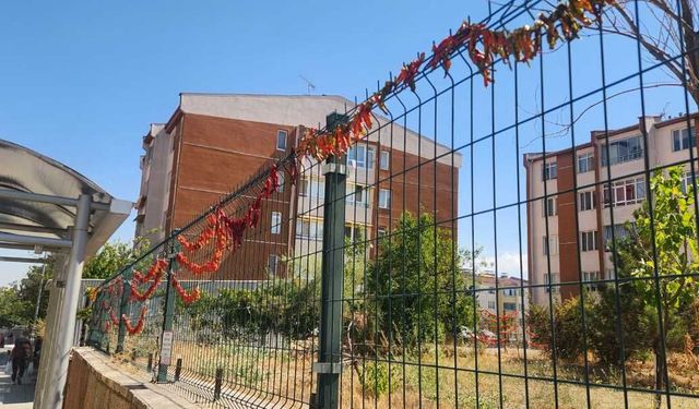 Eylül yaklaşırken biberler kışlık hazırlık için kurutuluyor