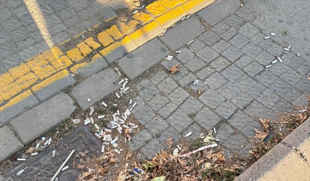 Eskişehir'de cezalar caydırıcı olmadı: O sorun bitmiyor!