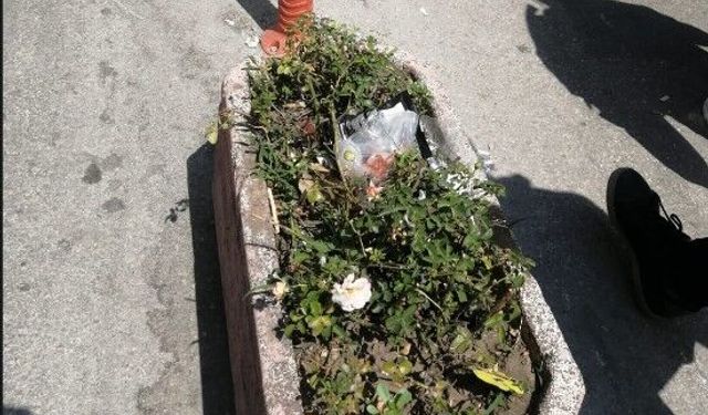 Eskişehir'de yakışmayan görüntü: Güzelliği çirkinleştirdiler