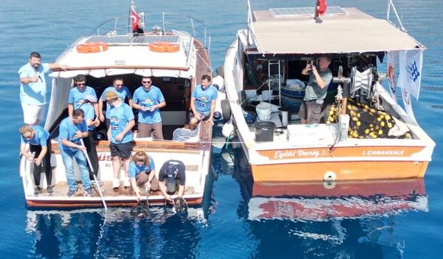 Türkiye’de bir ilk: Eskişehir'de doğan yavru köpek balıkları denizle buluşturuldu!