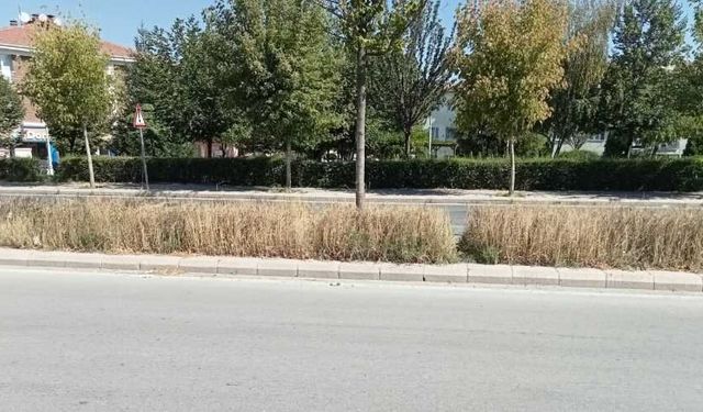 Eskişehir’de refüjler susuz kaldı: Yeşil alanlar sarıya büründü