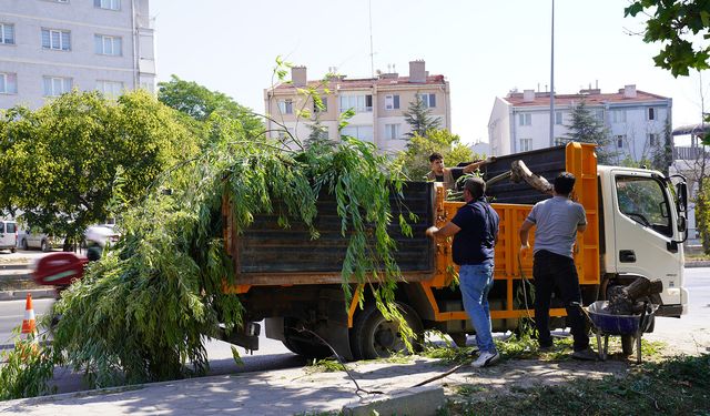 Eskişehir’de yeşil alanlar için yoğun mesai