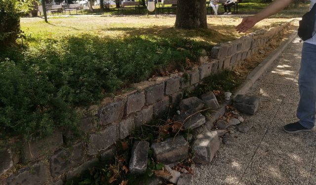 Eskişehir’de kaderine terk edildi: Mahalleli isyan etti!