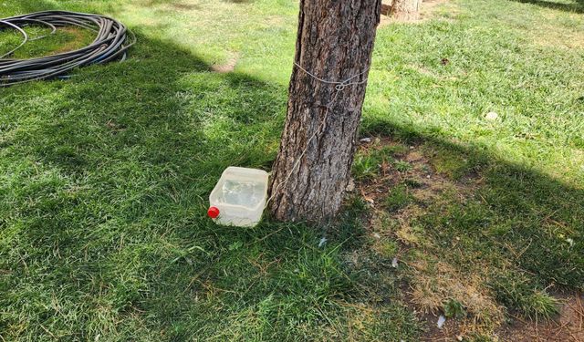 Eskişehir’de sokak hayvanları için örnek duyarlılık!