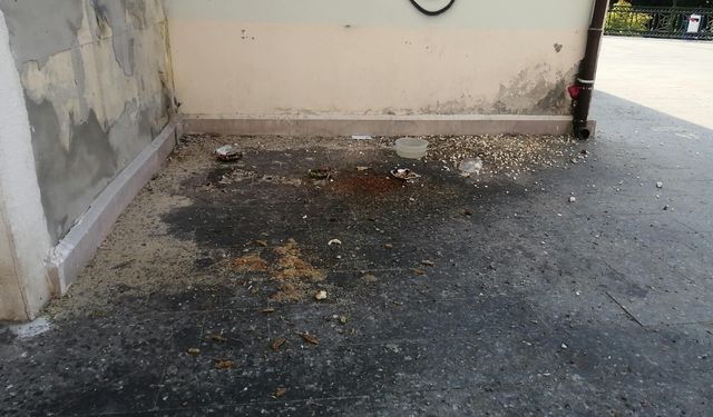 Köprübaşı’nda görüntü ve koku kirliliği tepkisi