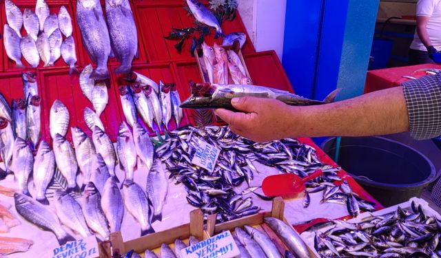 Eskişehir’de hamsi ve palamut bolluğu: Fiyatlar yarı yarıya geriledi
