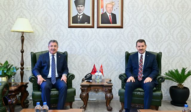 Millî Savunma Bakan Yardımcısı Ayhan, Vali Yılmaz'a ziyaret