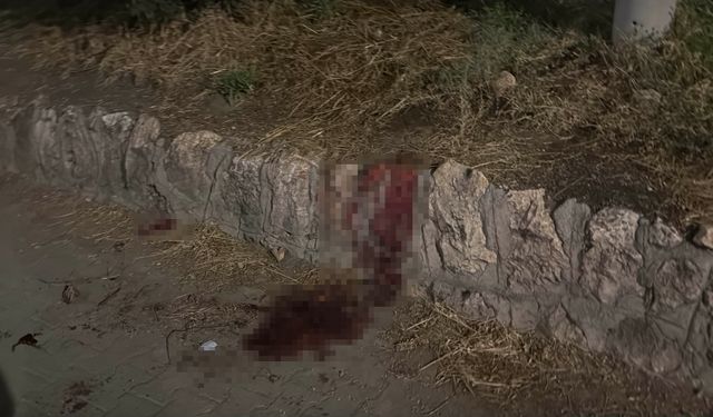 Eskişehir'de bıçakla dehşet saçtı: 17 yaşındaki çocuk yaşam savaşı veriyor!