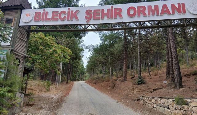 Bilecik'te vatandaşların uğrak noktası köstebek yuvasına döndü