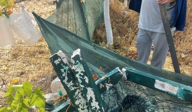 Eskişehir’de kimliği belirsiz kişiler bahçe tellerine zarar verdi