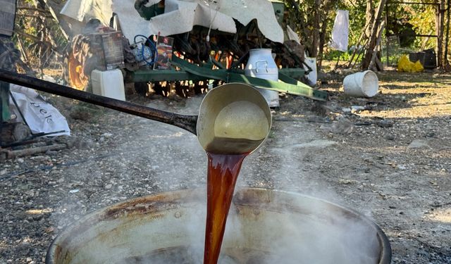 Eskişehir’de bağ bozumu başladı, kazanlar pekmez için kaynadı