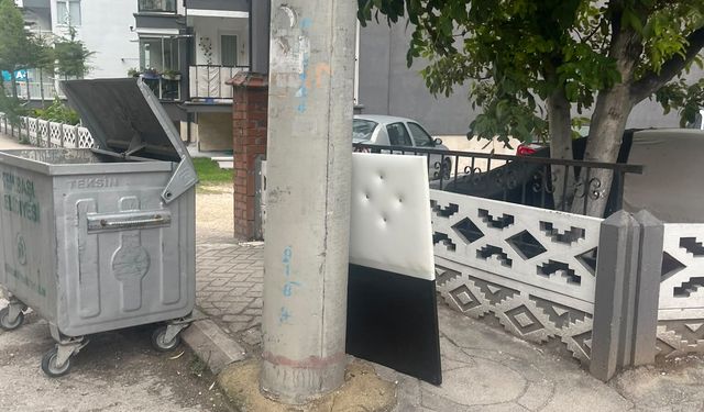 Eskişehir’de çöp konteynerinin yanında değişmeyen manzara!