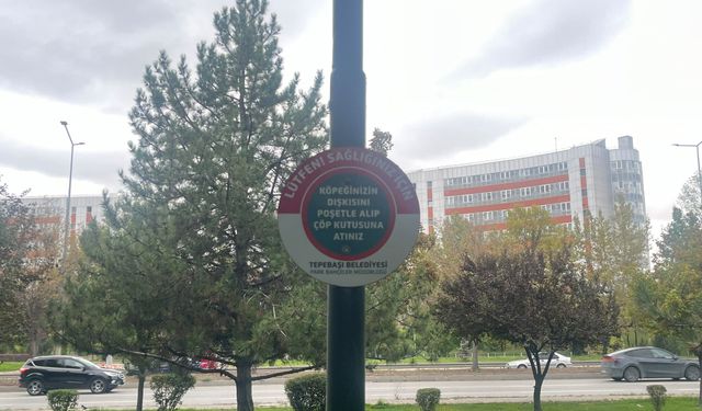 Eskişehir'de köpek sahiplerine uyarı: Parktaki uyarı tabela dikkat çekti!