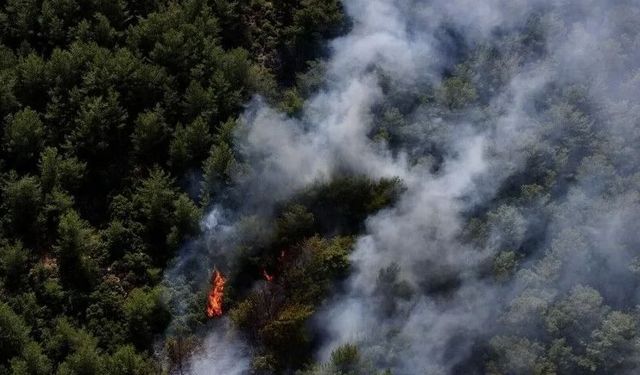 Eskişehir’de son iki ayda bin 79 yangına müdahale edildi