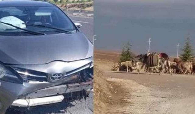 Eskişehir yolunda koyun sürüsüne çarptı: Sürücü yaralandı!