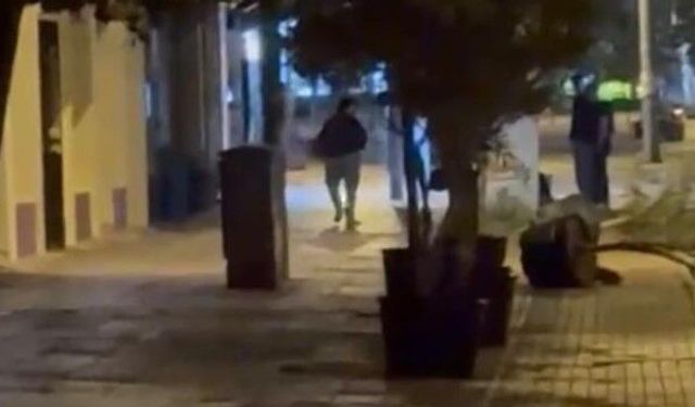 Eskişehir'de gece yarısı saksıları tek tek devirdi