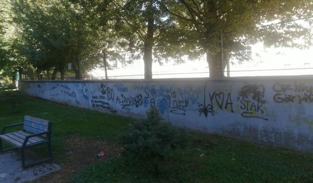 Eskişehir’de vandallar yine iş başında: Kamu alanlarını boyadılar