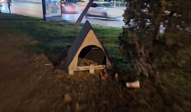 Eskişehir’de sokak kedileri için örnek davranış