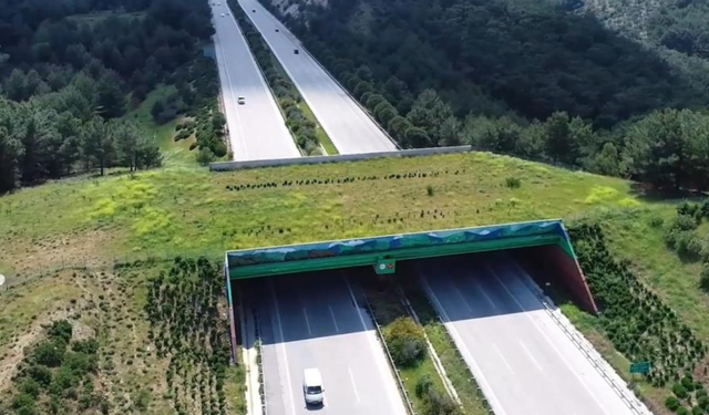 Eskişehir hızlı tren güzergâhında yeni hazırlık! Bir köprü daha gündemde