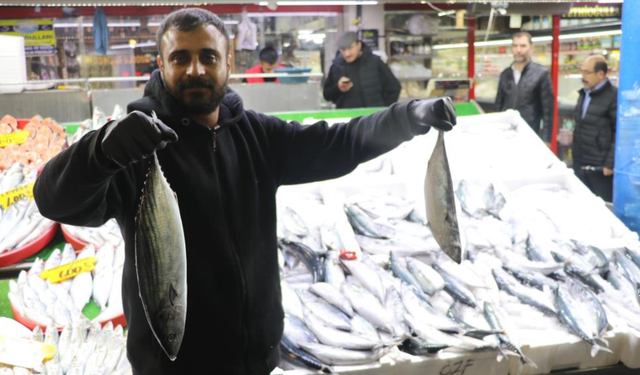 Eskişehir’e denizi olmayan şehirden balık geliyor! Palamudun adresi şaşırttı