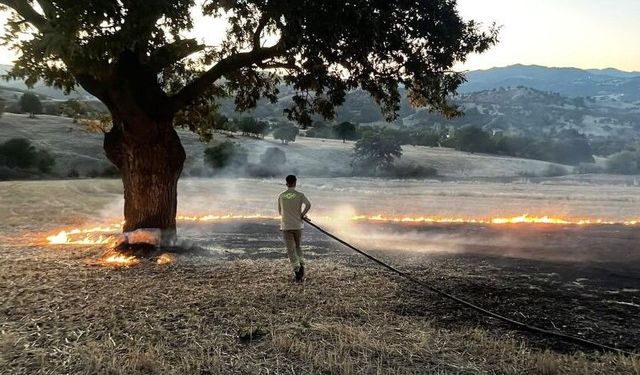 Hisarcık’ta anız yangını: 1 hektar alan zarar gördü