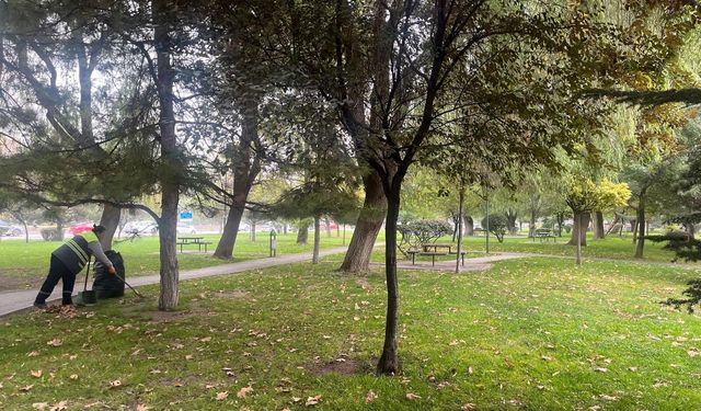 Eskişehir parklarında sonbahar temizliği