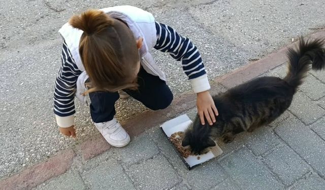 Eskişehir'de sokak hayvanlarına anlamlı destek