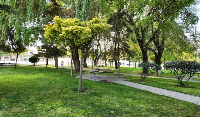 Tepebaşı’ndaki Şehit Topçu Albay Ömer Bora Parkı nerede? İşte adresi