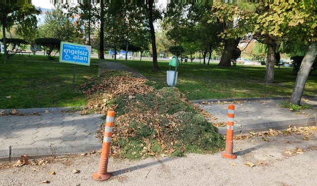 Eskişehir’in parklarında kış hazırlığı başladı