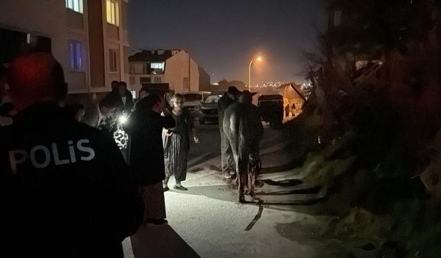 Eskişehir'de foseptik çukuruna saplanan atın imdadına AFAD yetişti