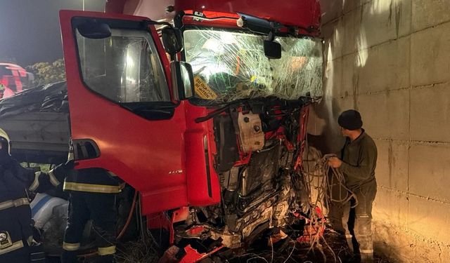 Eskişehir-Bilecik yolunda kaza: Sürücü 2 saatte kurtarıldı