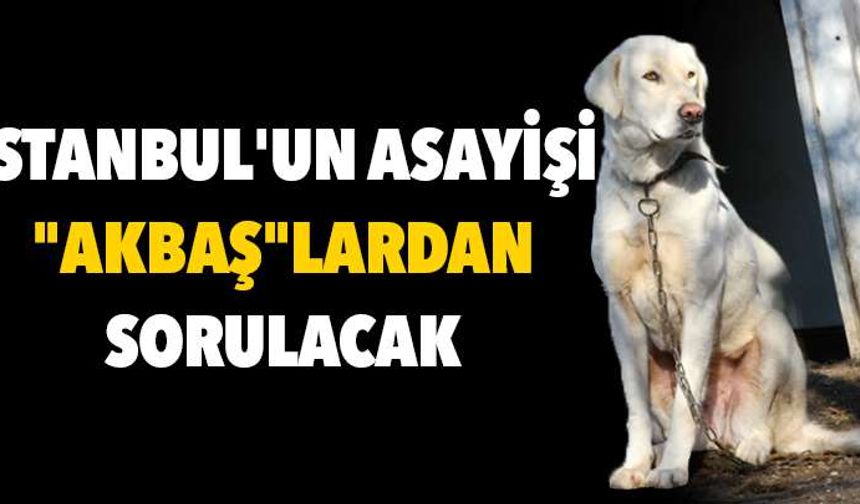 İstanbul'un asayişi "Akbaş"lardan sorulacak