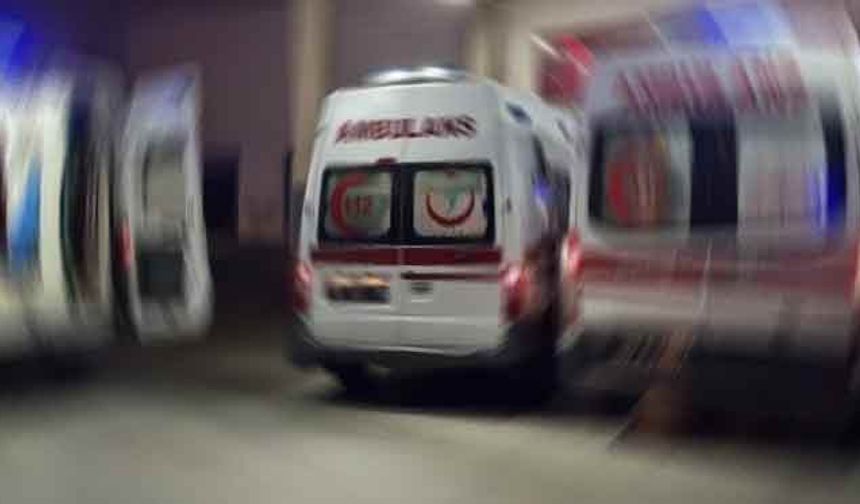 20 yaşındaki kadın arı sokması sonucu soktu!